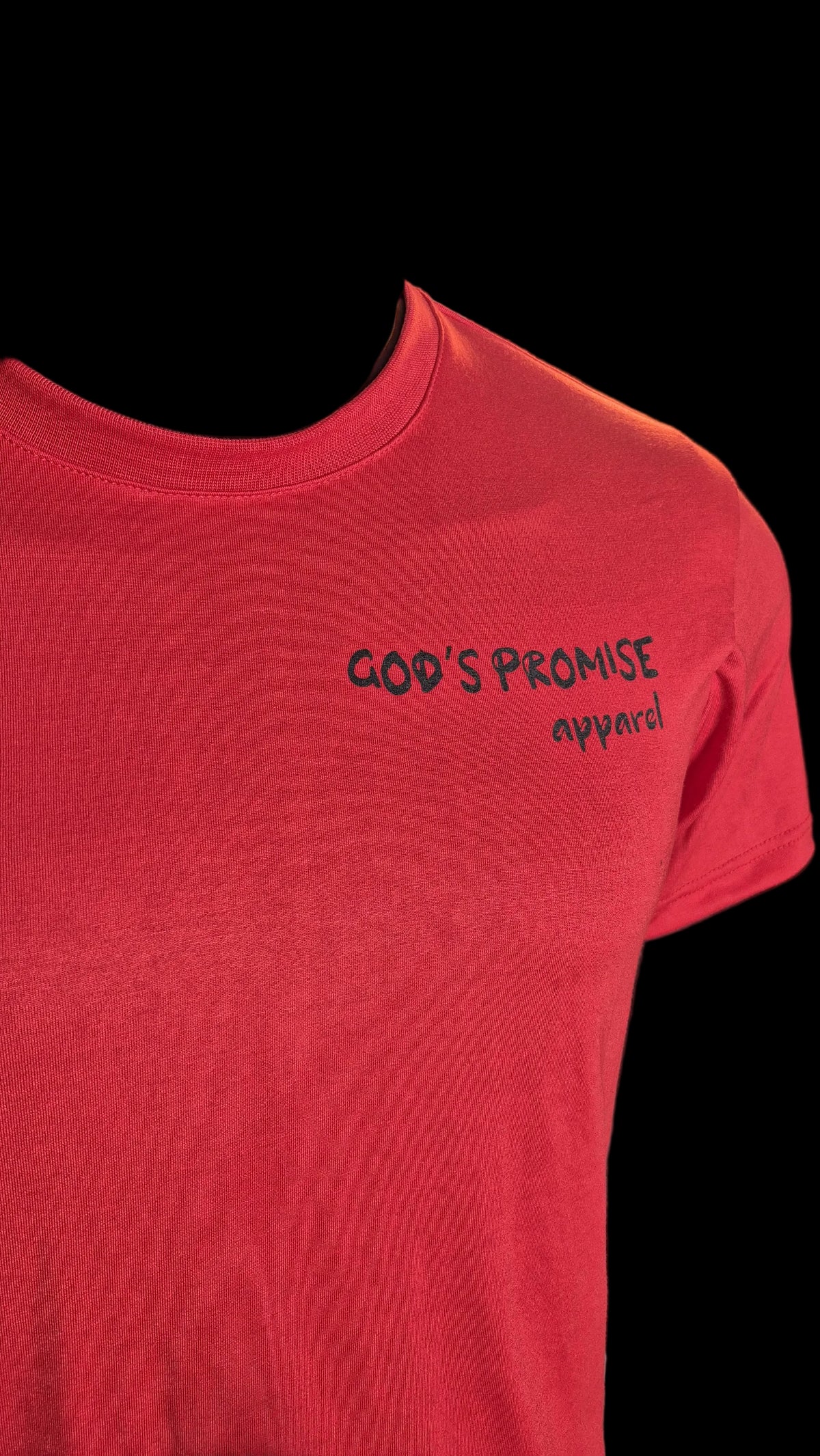 ASL Promise kept tee